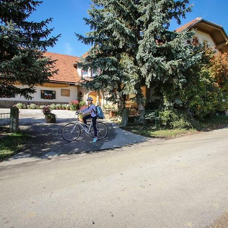 Отель Moj Dom-Toplak Jursinci Экстерьер фото